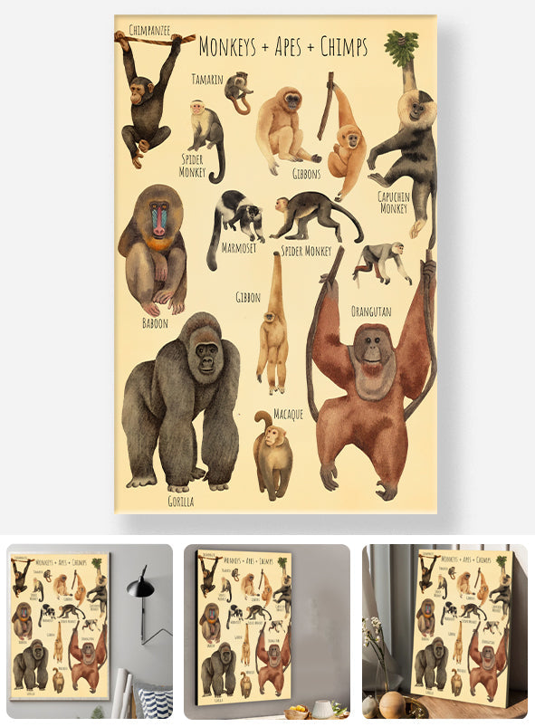 A Beautiful Selection - Canvas And Poster