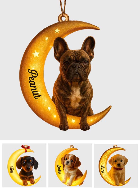 Ich bin immer bei dir – personalisierter Hundeanhänger