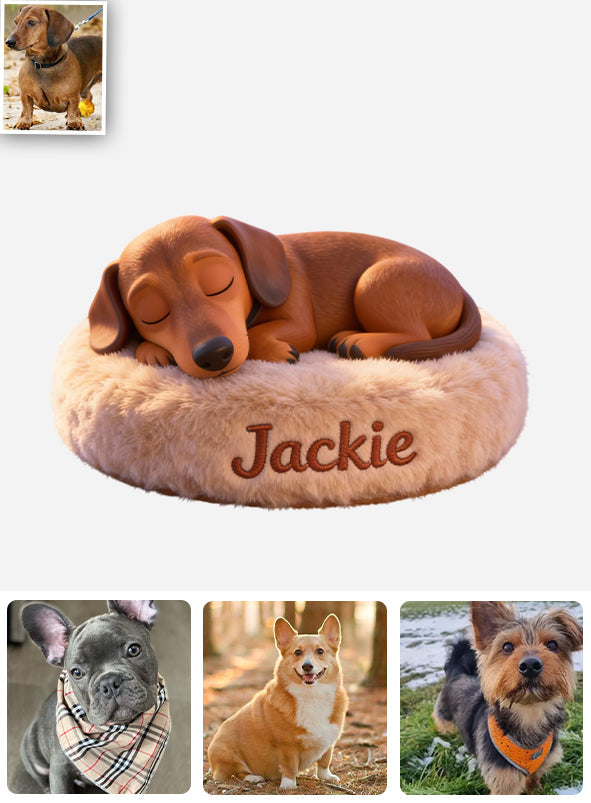 Peaceful Sleeping Dog - Personalized Dog Car Dashboard Plaque