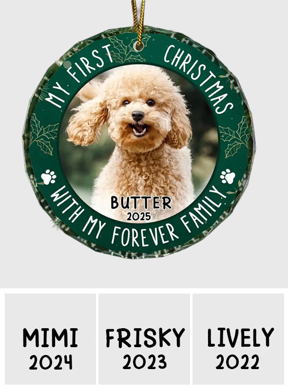 My First Christmas - Personalized Dog Round Shaped Glass Ornament
