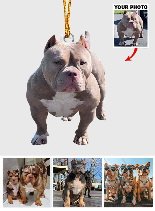 Any Photo Ornament - Personalized Dog Custom Shaped Ornament