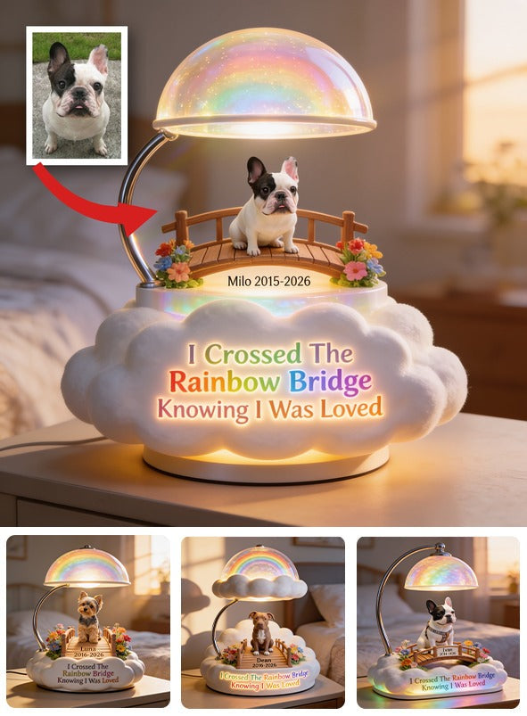 Ich habe die Regenbogenbrücke überquert - Personalisierte Französische Bulldogge Acryl LED Nachtlicht
