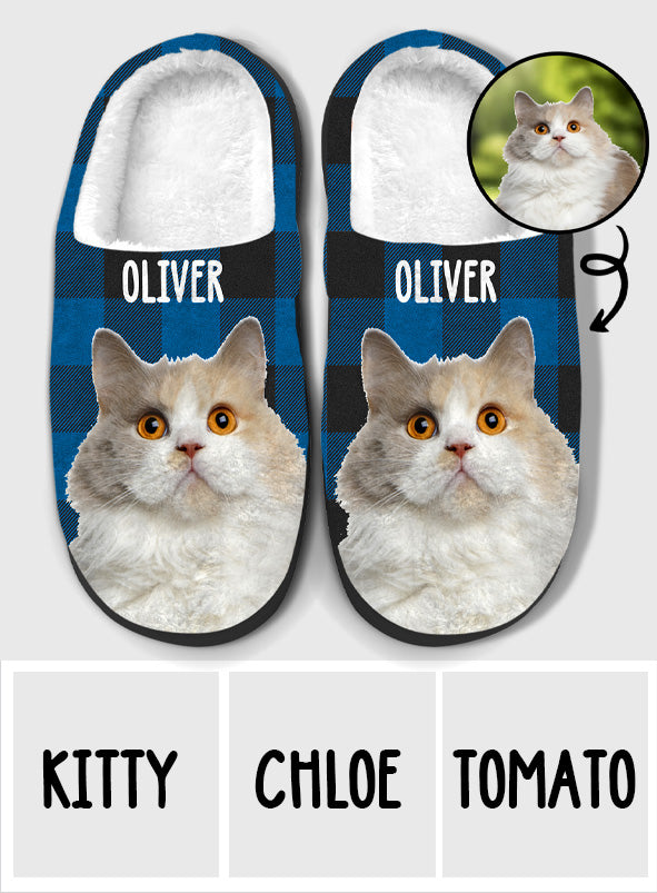Fur Baby - Personalized Cat Slippers