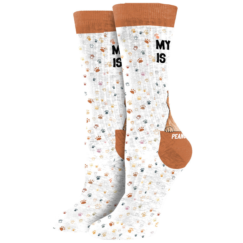 My Cat Is Cool - Personalized Dog Socks