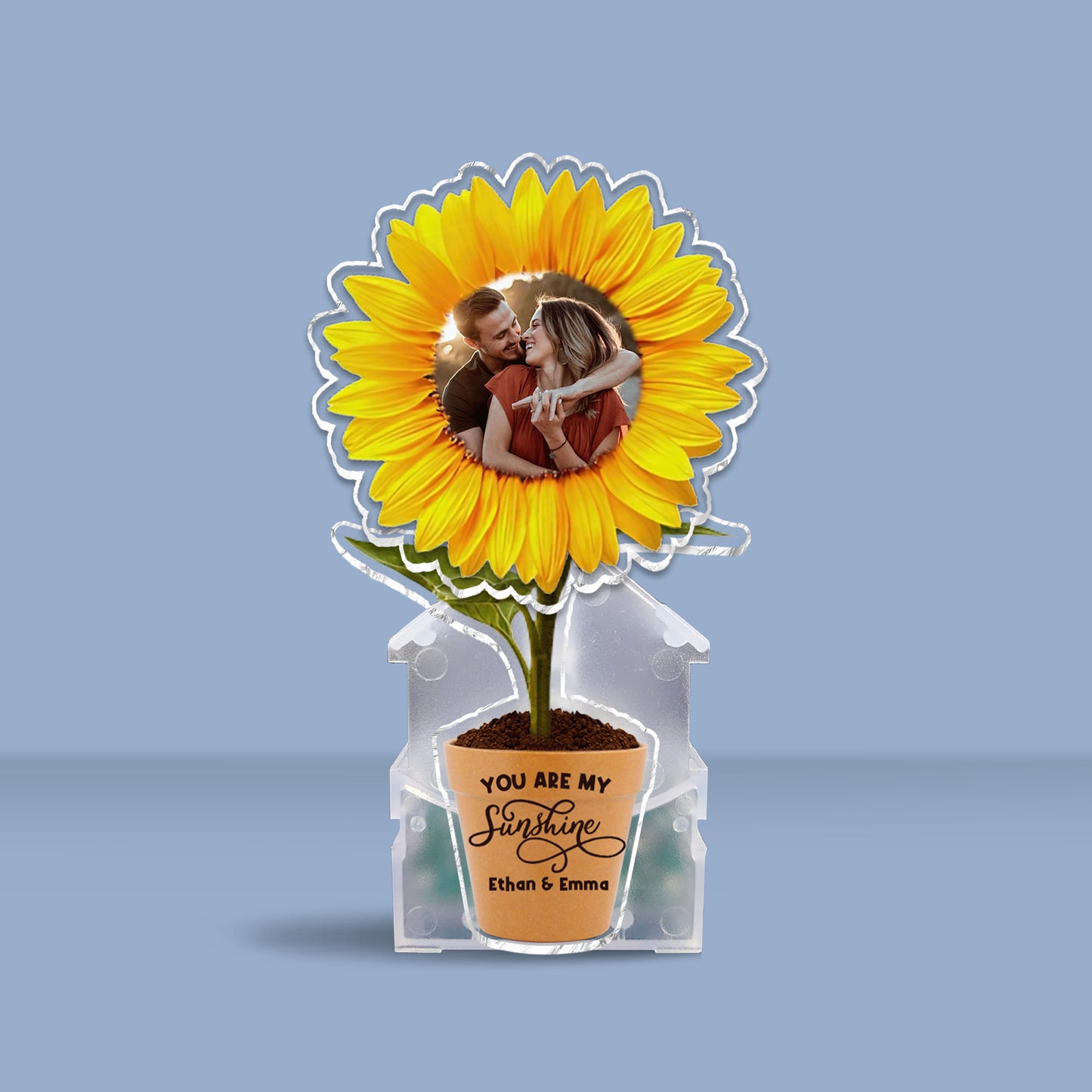 You Are My Sunshine - Gift for husband, wife, boyfriend, girlfriend, mom, grandma - Personalized Custom Shaking Head