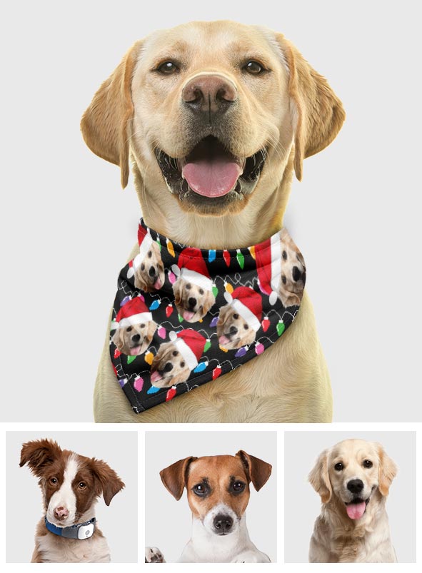 Any Photo Upload Colorful Christmas Light - Personalized Dog Pet Bandana