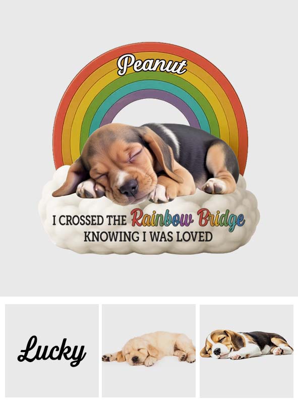 Custom Photo Forever In My Heart - Personalized Dog Custom Shaped Acrylic Plaque