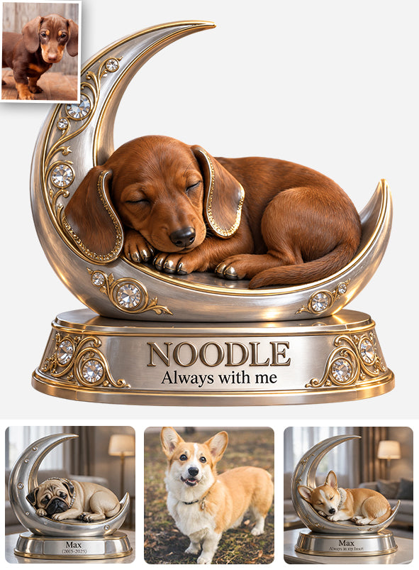Cadeau Personnalisé pour Amoureux des Chiens - Portrait de Animal de Compagnie, Cadeau Unique pour Parents de Chiens, Mémorial pour Animaux, Plaque Acrylique Personnalisée