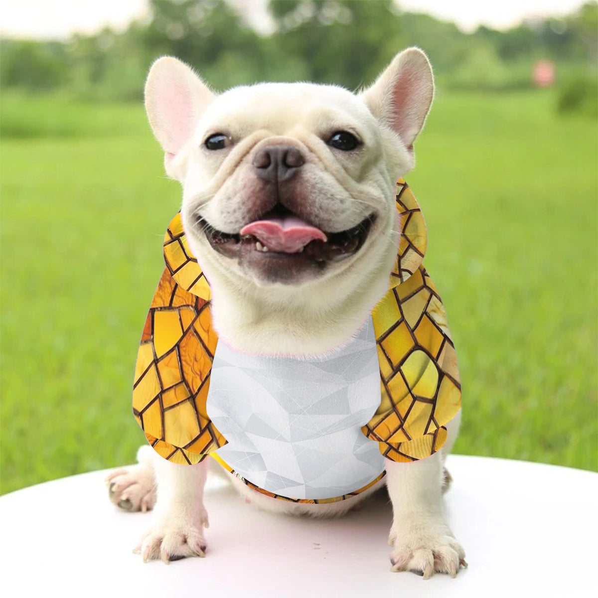 Bonjour l'automne - Sweat à capuche personnalisé pour chien