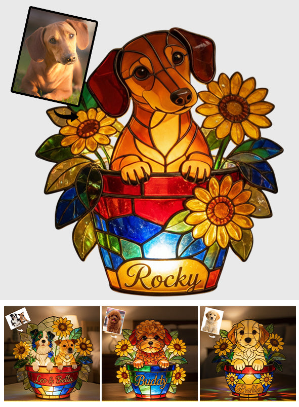 Cute Pets And Flowers - Personalized Dog Acrylic LED Night Light
