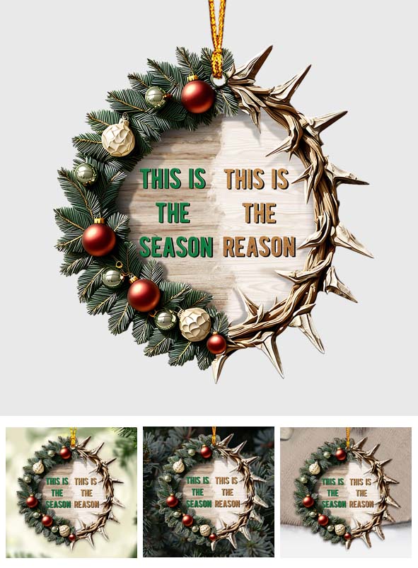 This Is The Reason - Family Ornament