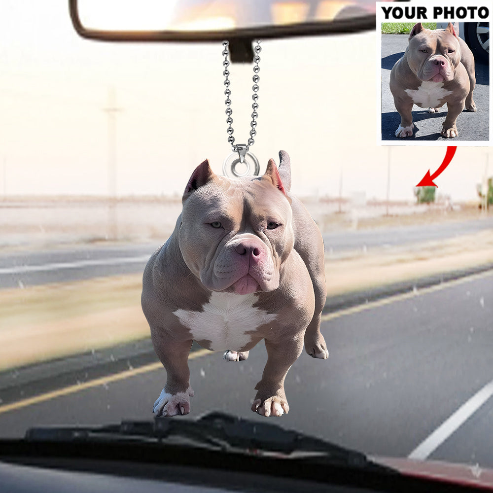 Any Photo Ornament - Personalized Dog Custom Shaped Ornament