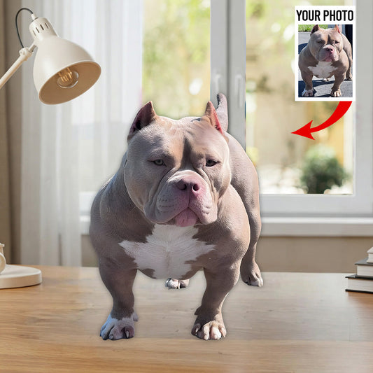 Any Photo - Personalized Dog Custom Shaped Acrylic Plaque