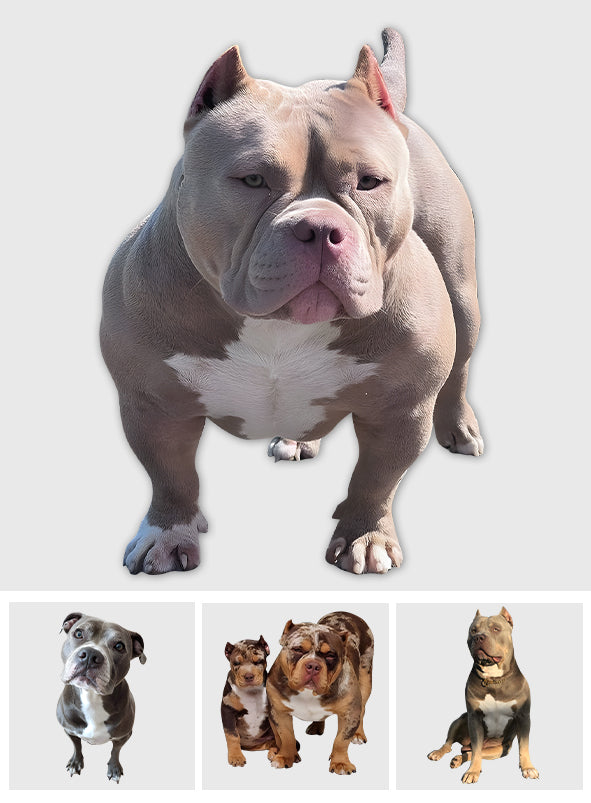 Any Photo - Personalized Dog Custom Shaped Acrylic Plaque