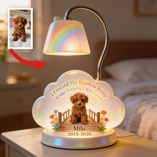 Personalized Curly Brown Poodle Rainbow Bridge Memorial Acrylic LED Night Light, Pet Loss Keepsake Gift