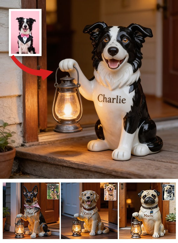 Personalisierte Schwarz-Weiß Border Collie Solar Acryllicht Garten Dekor