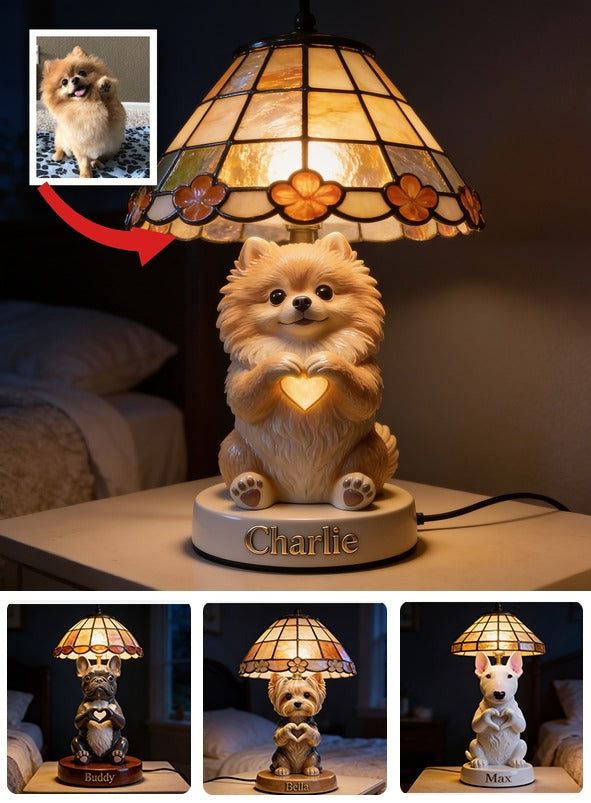 Personalized Fluffy Pomeranian Acrylic LED Night Light Pet Lover Gift