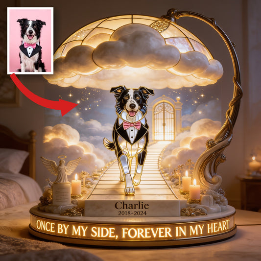 Personalized Memorial Border Collie Acrylic LED Night Light Pet Loss Gift