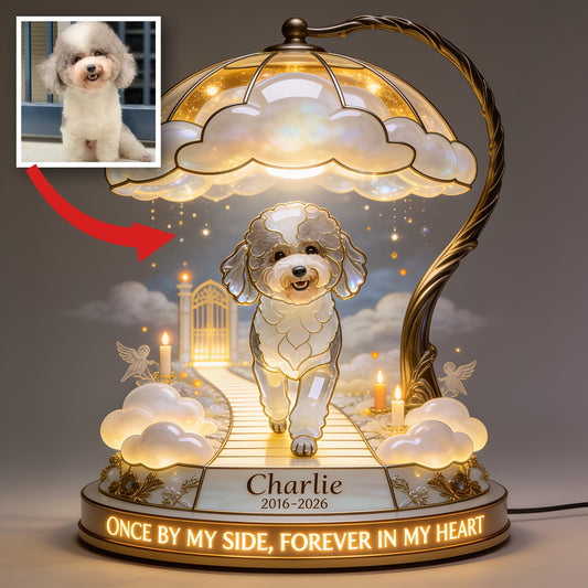 Personalized Memorial Adult Poodle 2016-2026 Acrylic LED Night Light Pet Loss Keepsake