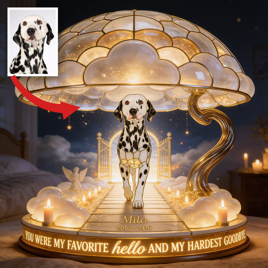 Custom Photo Adult Dalmatian Memorial Acrylic LED Night Light Pet Loss Keepsake