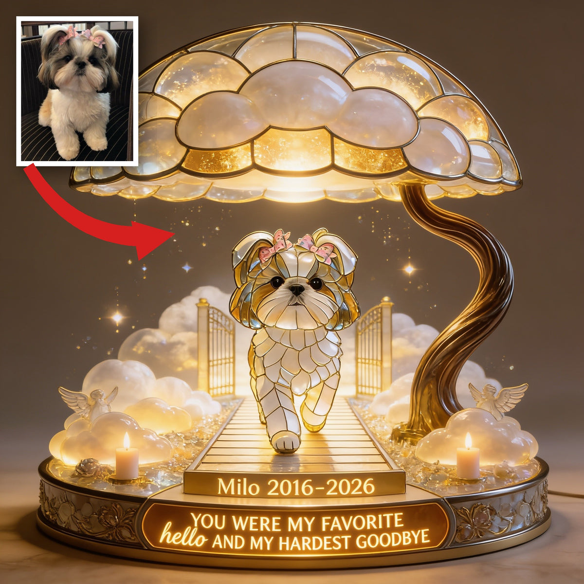 Custom Photo Memorial Fluffy Shih Tzu Acrylic LED Night Light Pet Remembrance Gift