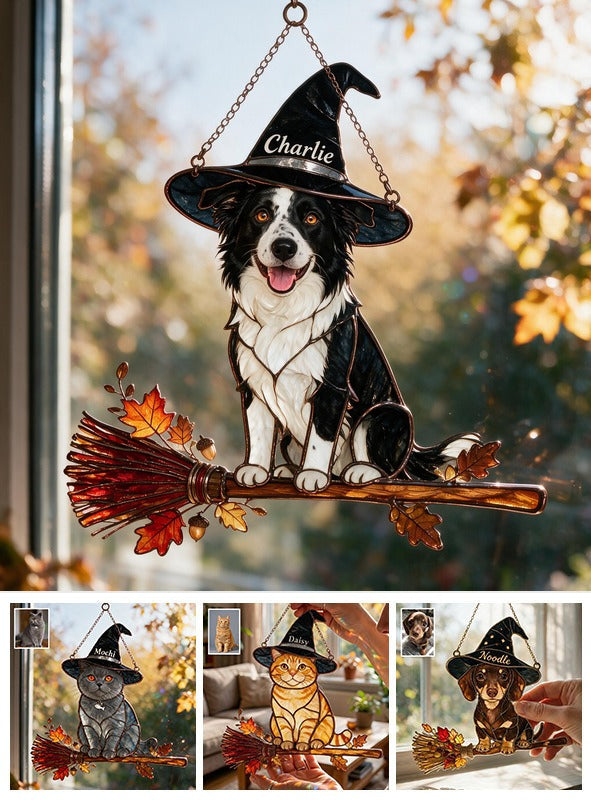 Personalized Halloween Border Collie 3D Printed Glass Suncatcher