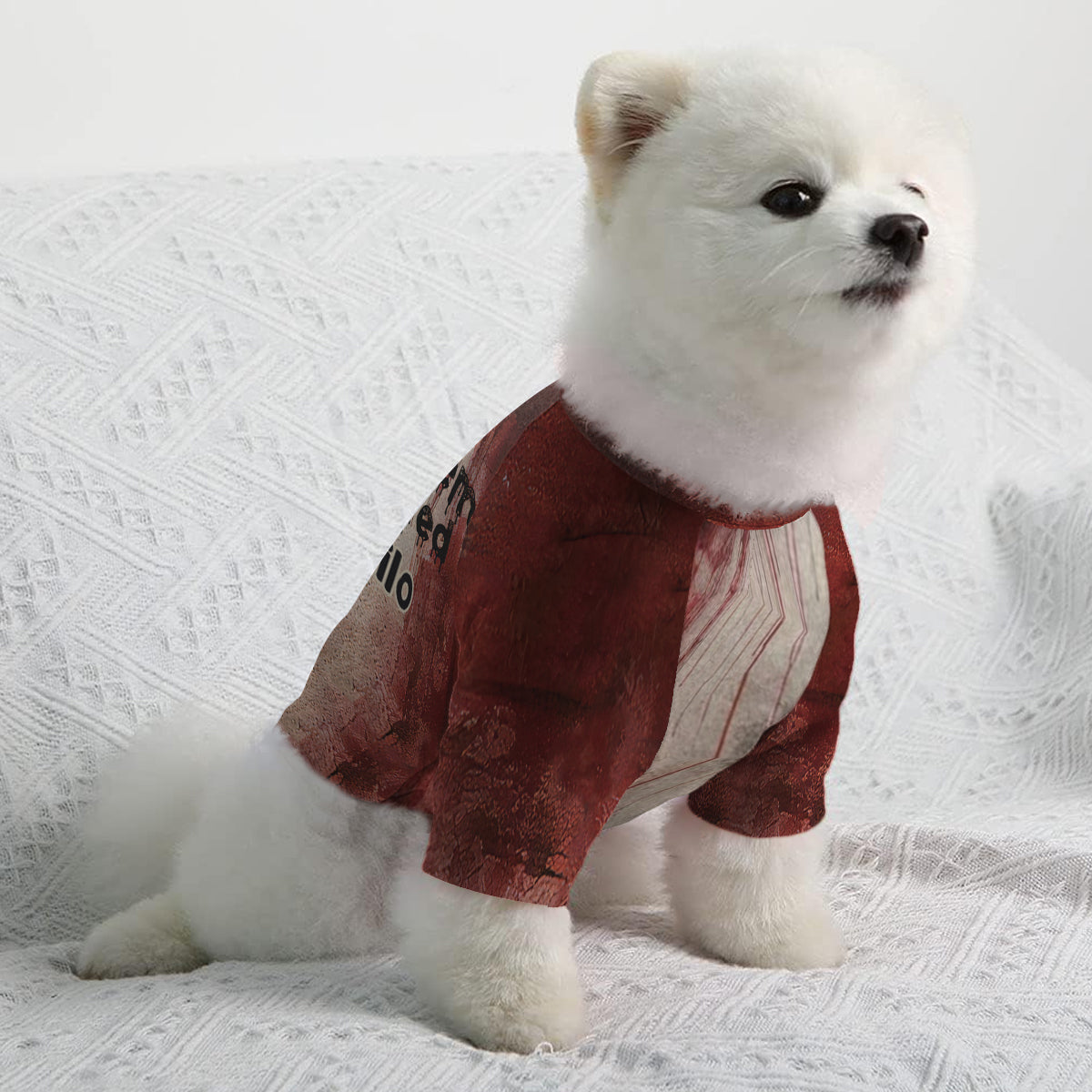 Probleme gelöst – personalisiertes Hunde-Shirt