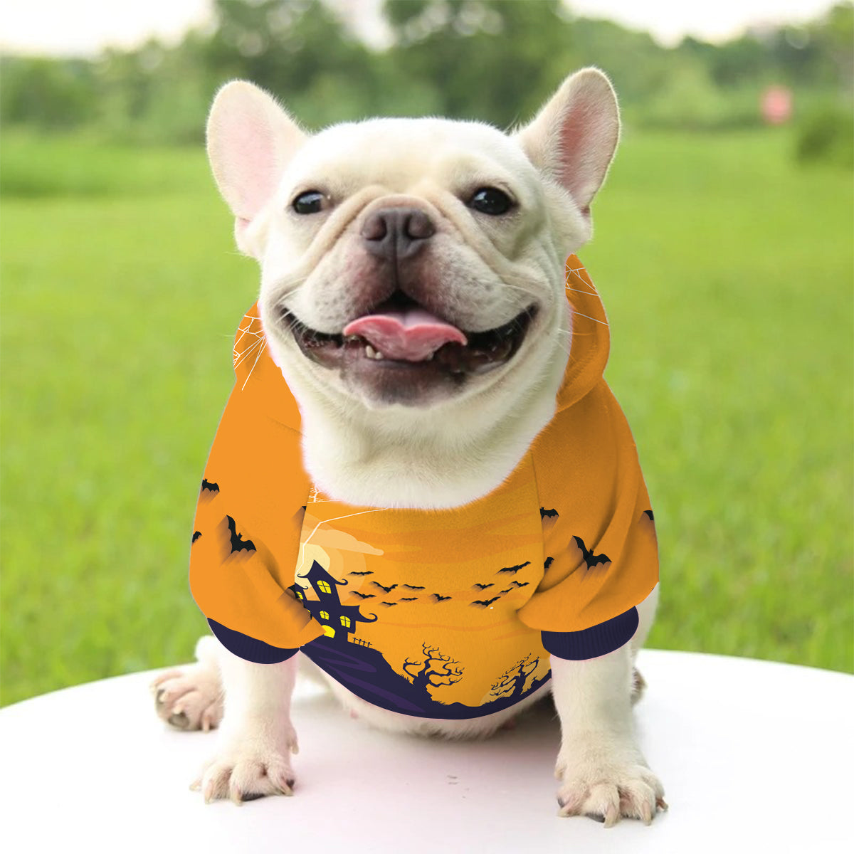 Sweat à capuche personnalisé pour chien et chat effrayant