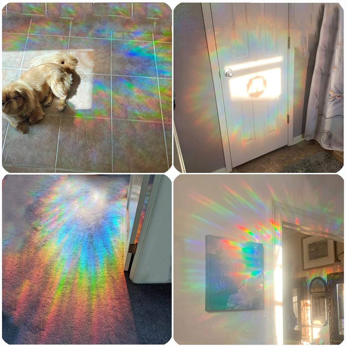 Ich liebe dich bis zum Mond und zurück – Personalisierter Katzen-Sonnenfänger-Aufkleber