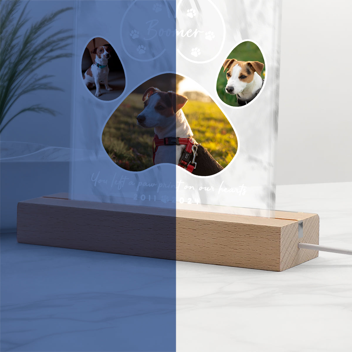 Du hast einen Pfotenabdruck hinterlassen – Personalisierte LED-Nachtleuchte in Hundeform