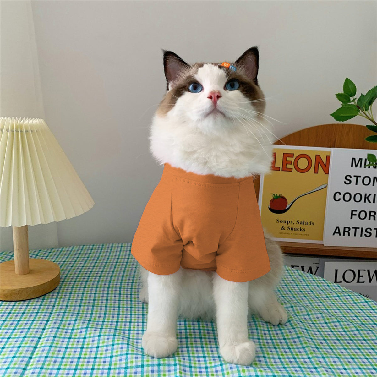 Mama's Little Boo - Personalized Dog Pet Shirt