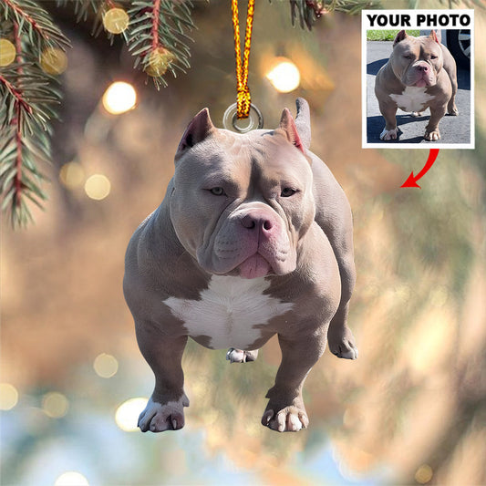 Any Photo Ornament - Personalized Dog Custom Shaped Ornament