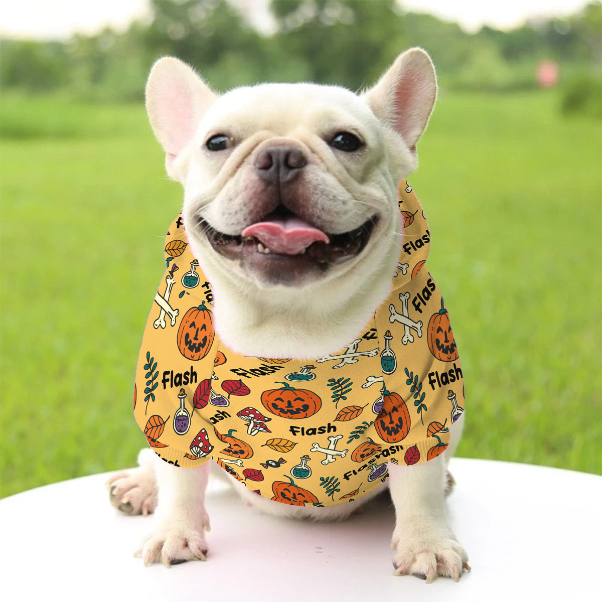 Cute Ghost Dog Pumpkin Ghost & Bat - Personalized Dog Pet Hoodie