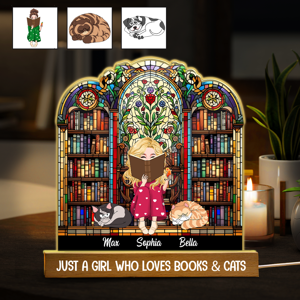 Just A Girl Who Loves Books & Pets - Personalized Book Shaped Led Night Light