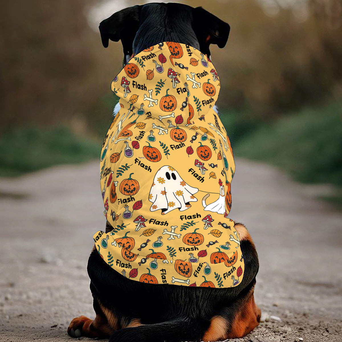 Cute Ghost Dog Pumpkin Ghost & Bat - Personalized Dog Pet Hoodie