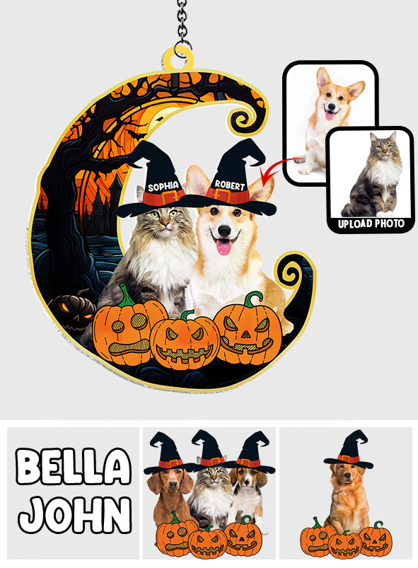 Niedliche Halloween-Haustiere – Personalisierter Hunde-Fensterhänger als Sonnenfänger 