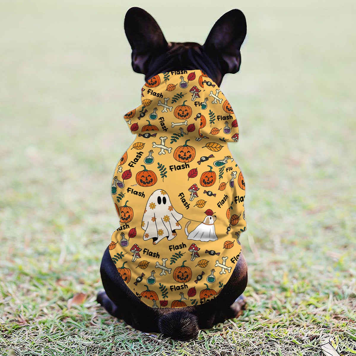 Cute Ghost Dog Pumpkin Ghost & Bat - Personalized Dog Pet Hoodie