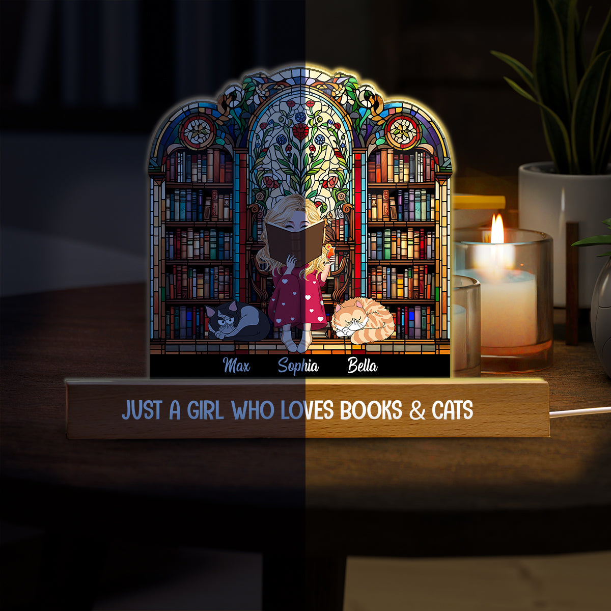 Just A Girl Who Loves Books & Pets - Personalized Book Shaped Led Night Light
