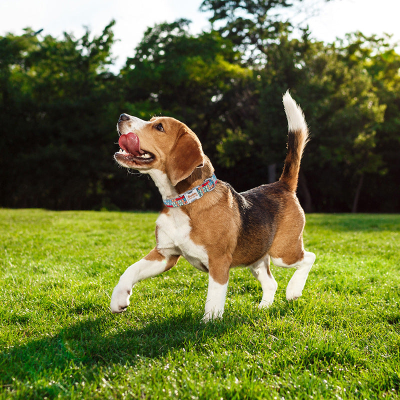 2,96E+22