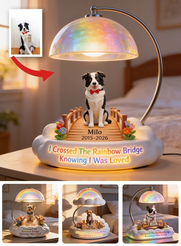 I Crossed The Rainbow Bridge - Personalized Black And White Border Collie Acrylic LED Night Light