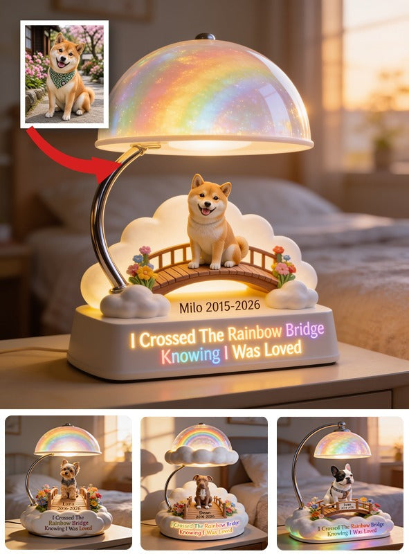 Ich habe die Regenbogenbrücke überquert - Personalisierte Tan Shiba Inu Acryl LED Nachtlicht