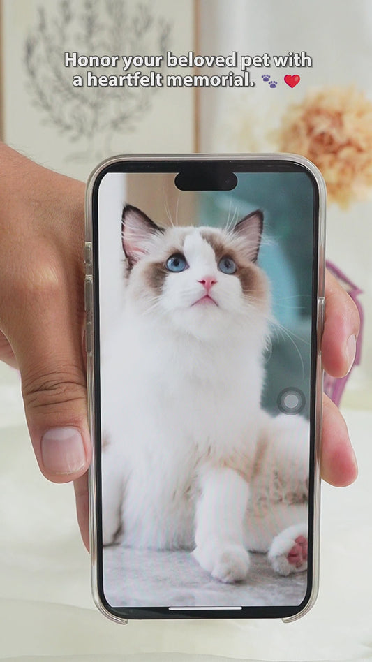 Memorial Wings Your Wings Were Ready But My Heart Was Not - Personalized Cat Custom Shaped Acrylic Plaque