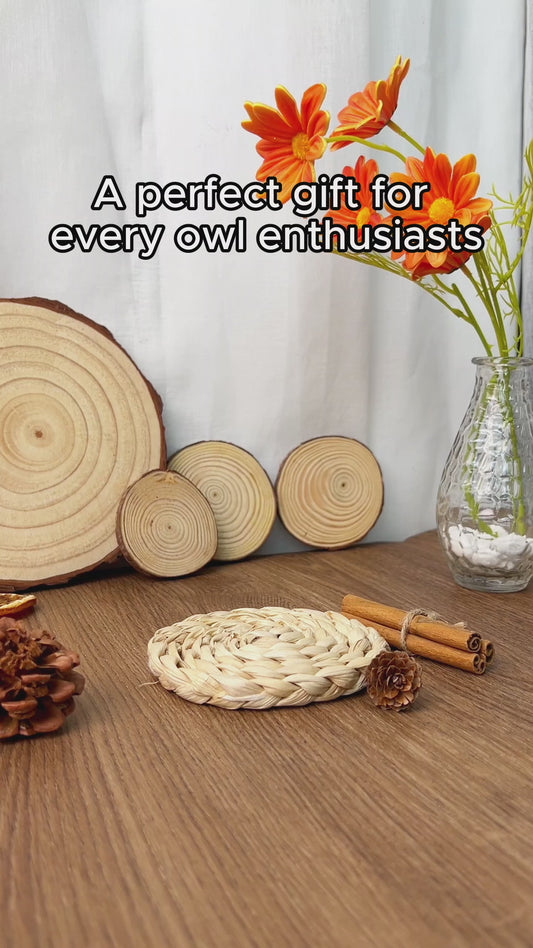 Just A Girl Who Loves Owls - Personalized Owl Accent Mug
