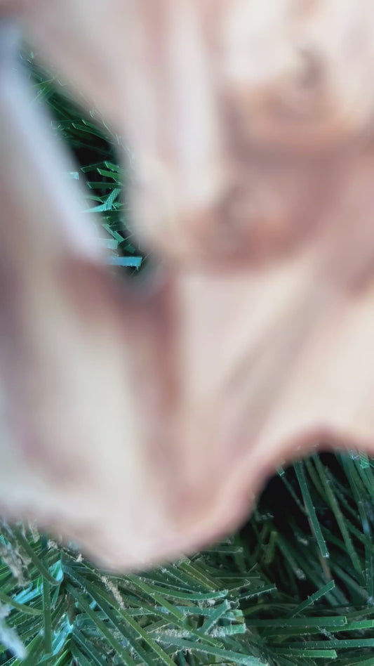 Horse Couple - Personalized Christmas Horse Ornament (Printed On Both Sides)