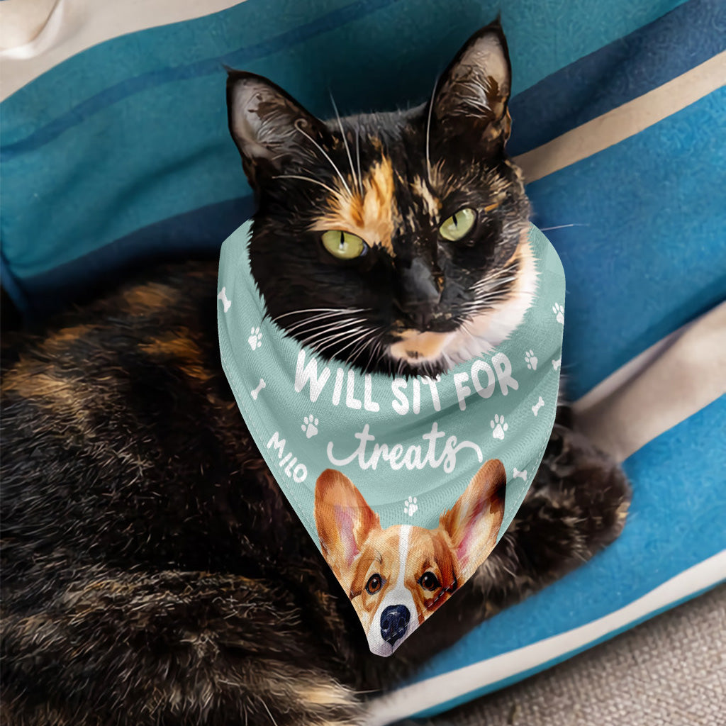 Will Sit For Treats - Personalized Dog Pet Bandana