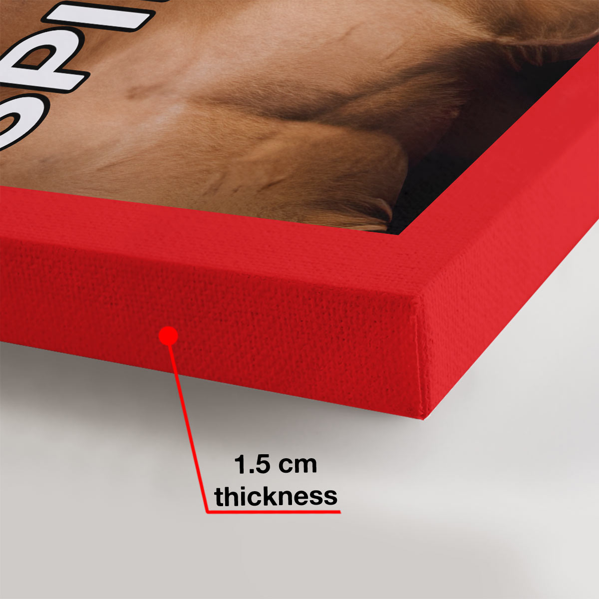 Magazine Covers - Personalized Horse Canvas And Poster