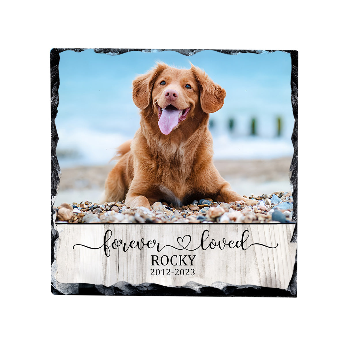 Forever Loved Cat Dog - Gift for dog lovers, who lost cat, who lost dog - Personalized Square Shaped Stone