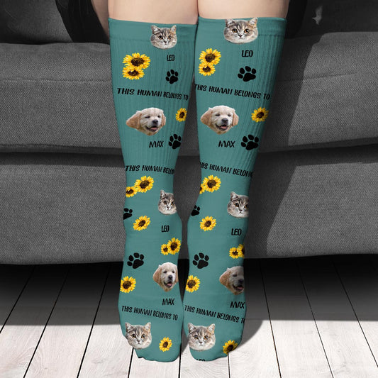 Ce humain appartient à - Cadeau pour amoureux des chats - Chaussettes personnalisées