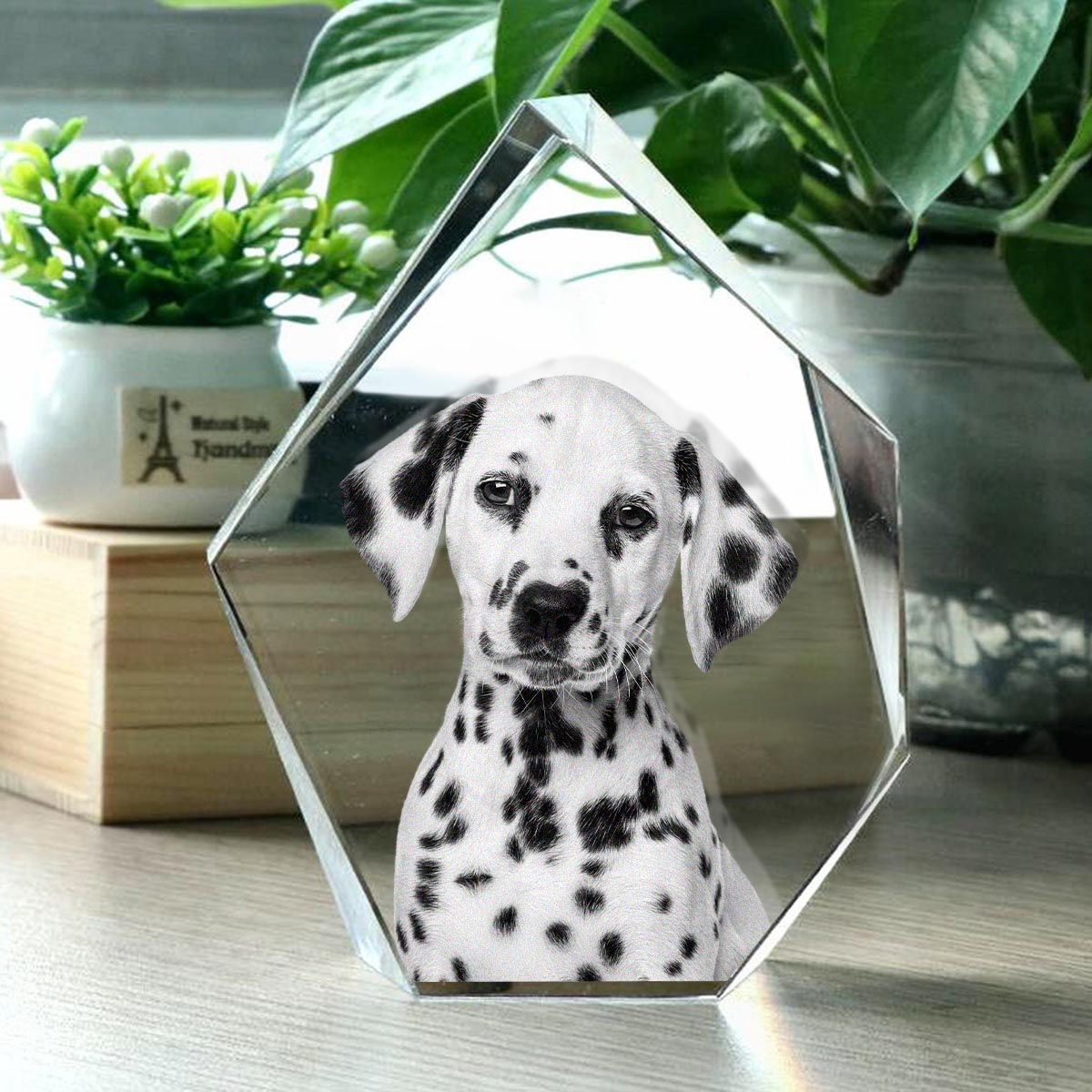 Individuelles Foto – Personalisierte Hunde-Lasergravur, 3D-Eisberg-förmige Kristalllampe