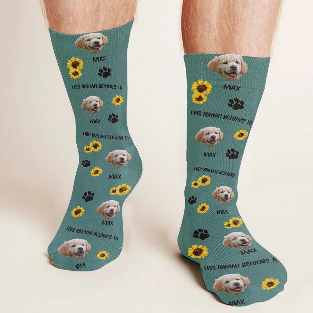 This Human Belongs To - Dog gift for cat lover - Personalized Socks